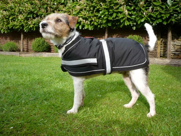 Waterproof Soft Fleece Lined Dog Coat, Small Dog Coat Waterproof Uk