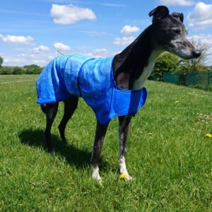 Aquamat Blue Dog Cooling Chiller ‘Chien’ Coat, Jacket – 70cm only.