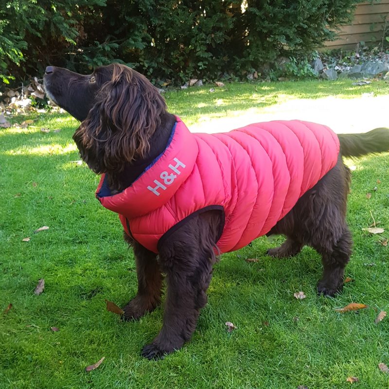 Dog Reversible Puffa / Padded Jacket by Hugo and Hudson REDUCED