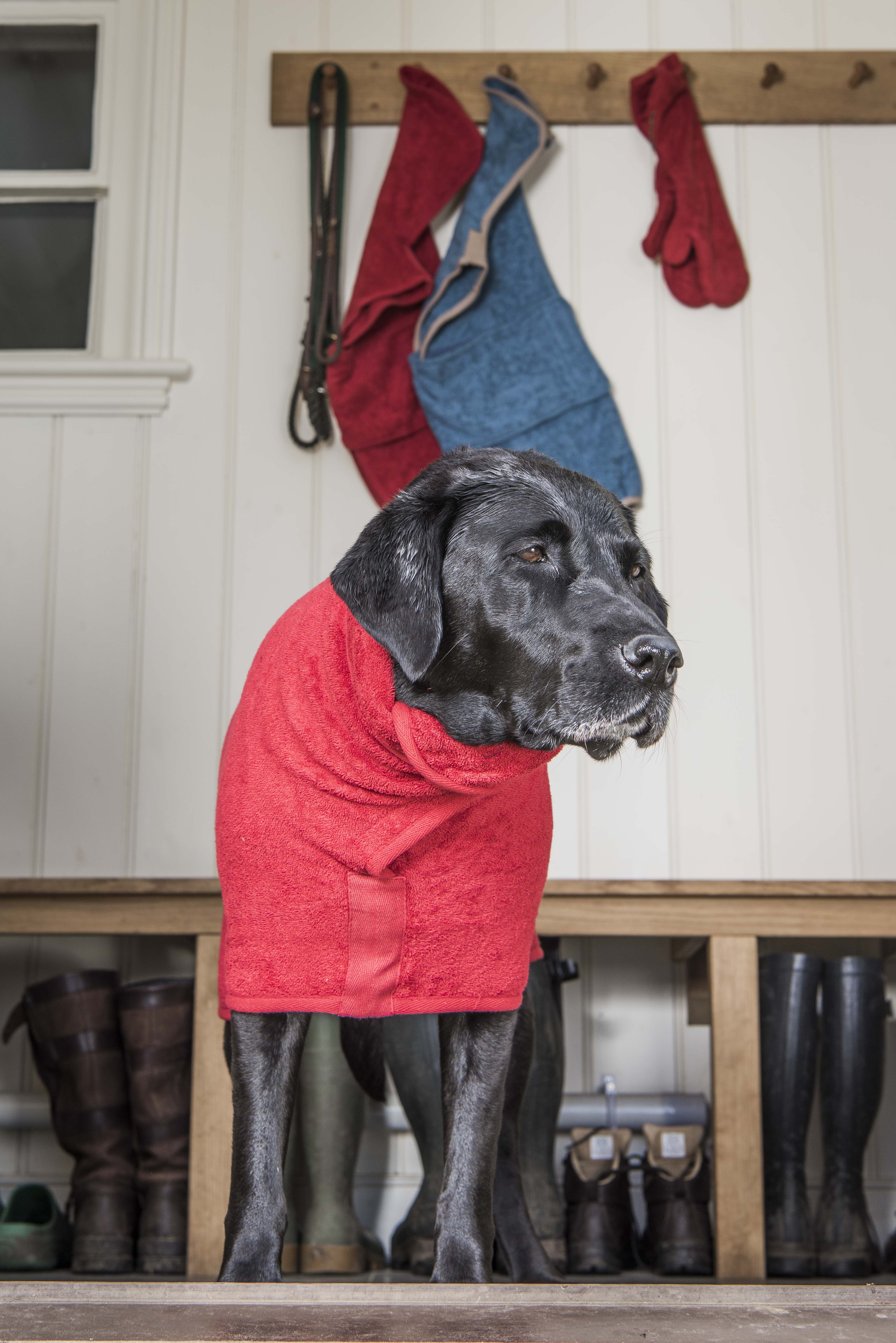 Ruff and Tumble Classic Dog Drying Coats 100 Cotton Feathers and Paws