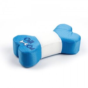 All For Paws Hydration Bone Dog Toy