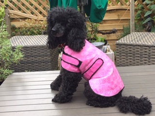 Aquamat Pink Dog Cooling Chiller ‘Chien’ Jacket Coat