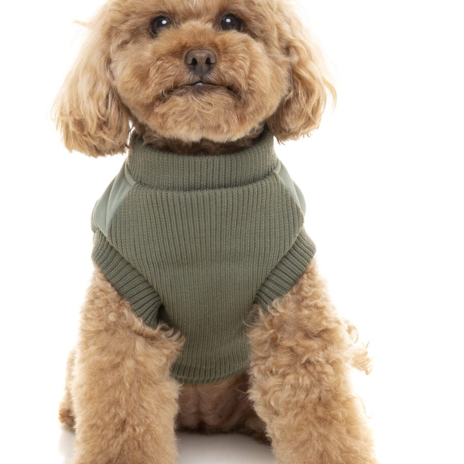 Sage Green MacGyver Harness Jacket by FuzzYard Feathers and Paws