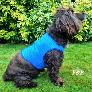 CRUFTS Cooling Vest / Jacket for Dogs