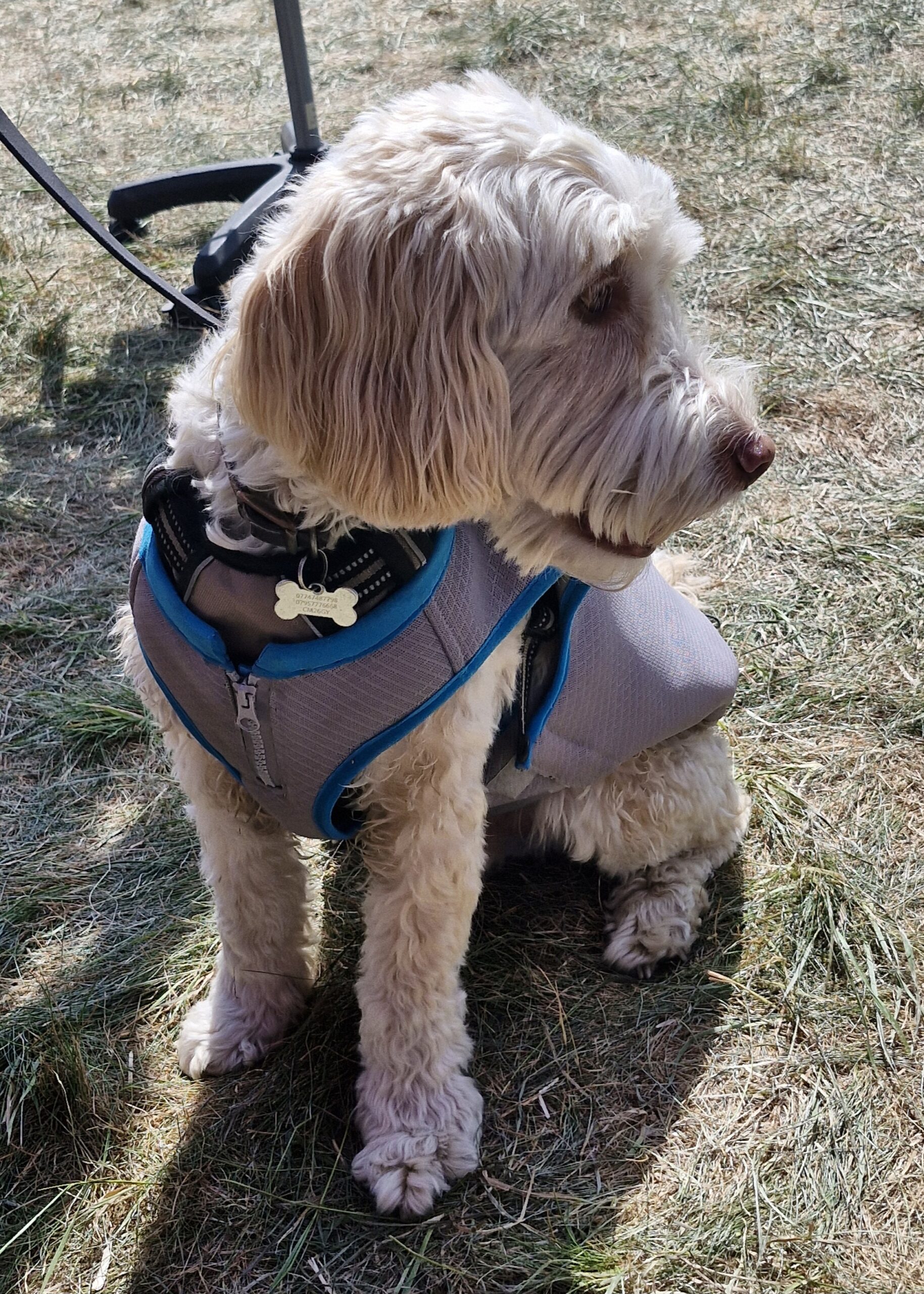 2025-08-10 15.06.59-4