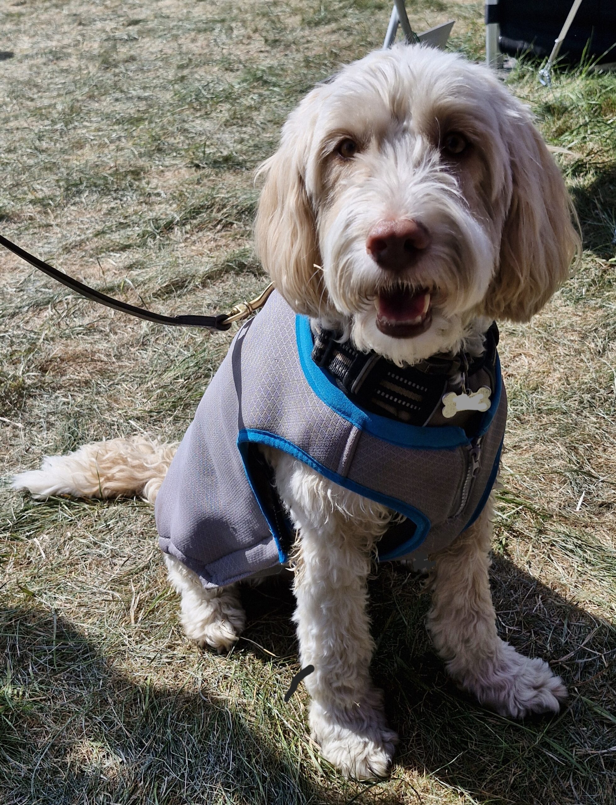 2025-08-10 15.07.04-4